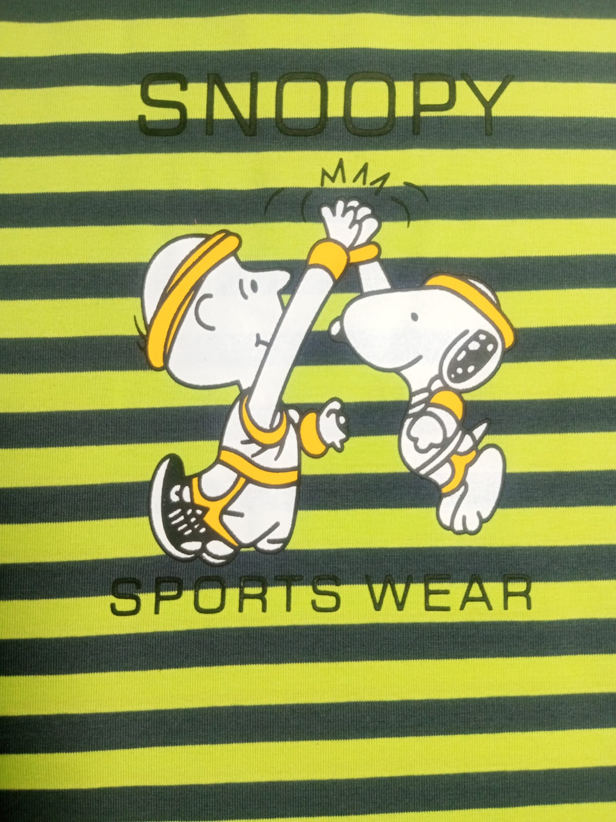 Snoopy's Victory Vibes